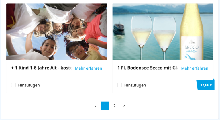 Schritt 3 - Zusatzoptionen buchen Gruppe von Menschen mit Getränken am Strand, umgeben von Wasser und Natur.